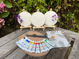Paint-A-Coaster Kit